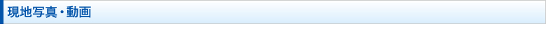 現地写真・動画